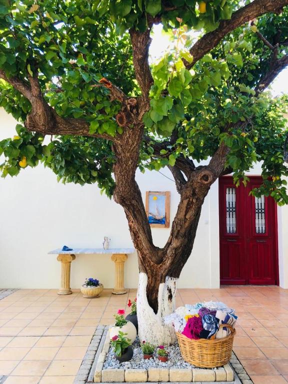 Mediterranean house with beautiful garden - Villa