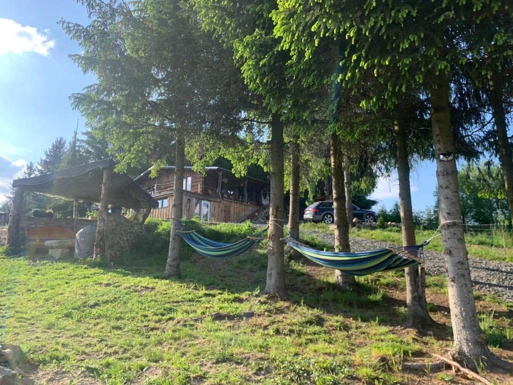 Vonkajšia záhrada v ubytovaní Sunset Holidays - Boska Nora