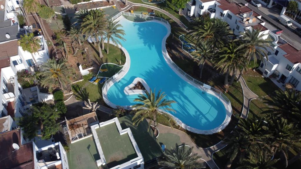 an overhead view of a swimming pool in a resort with palm trees at Alojamientos Playa Centro Corralejo 12 in Corralejo