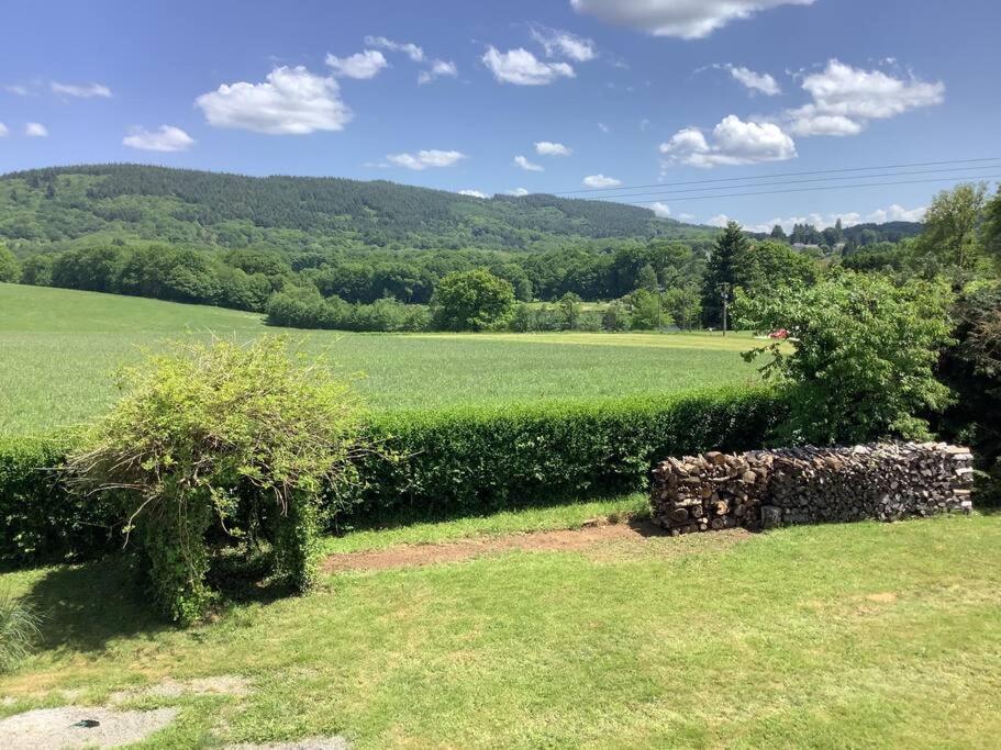 une vue d'un champ avec une haie et des arbres dans l'établissement Lake view, à Saint-Sulpice-Laurière