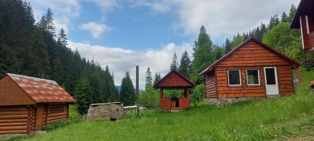 Příroda nedaleko hotelu