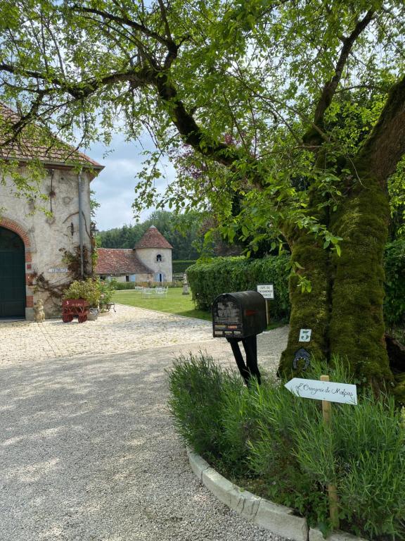 Zahrada ubytování L’Orangerie de Malpas