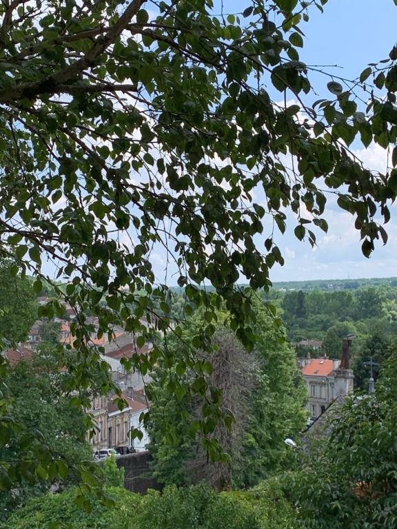 a view of a city through the leaves of a tree at Maison Angouleme, France in Angoulême