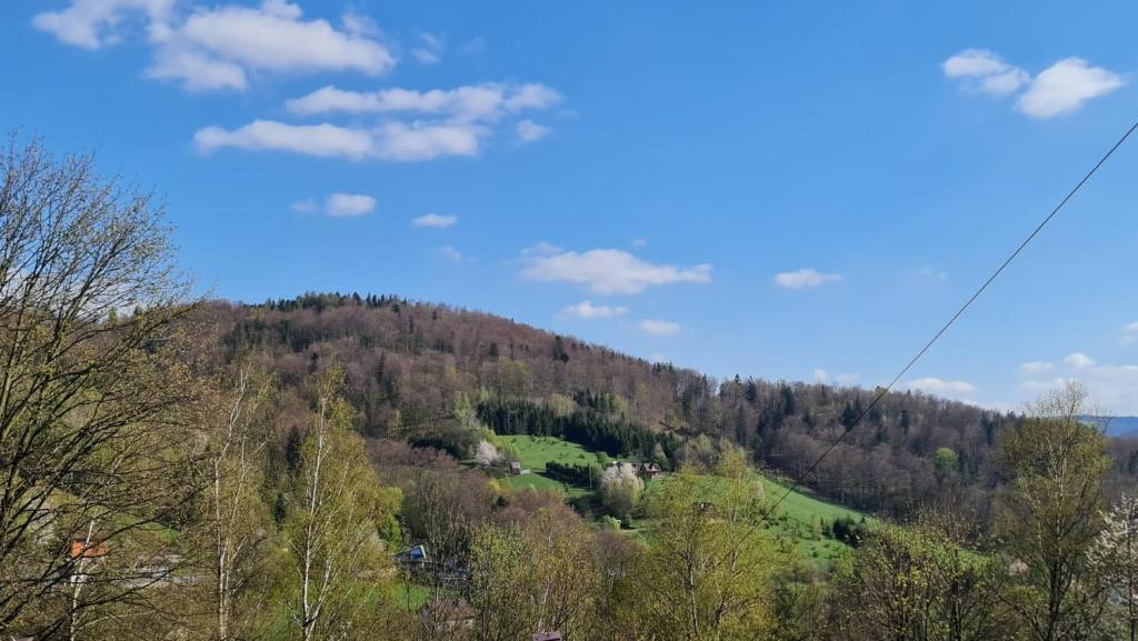 uma vista para uma colina com árvores sobre ela em Lemon em Ustroń