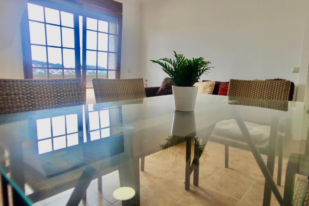 szklany stół jadalny z doniczką w obiekcie Apartamento Porto do Xufre w mieście Isla de Arosa