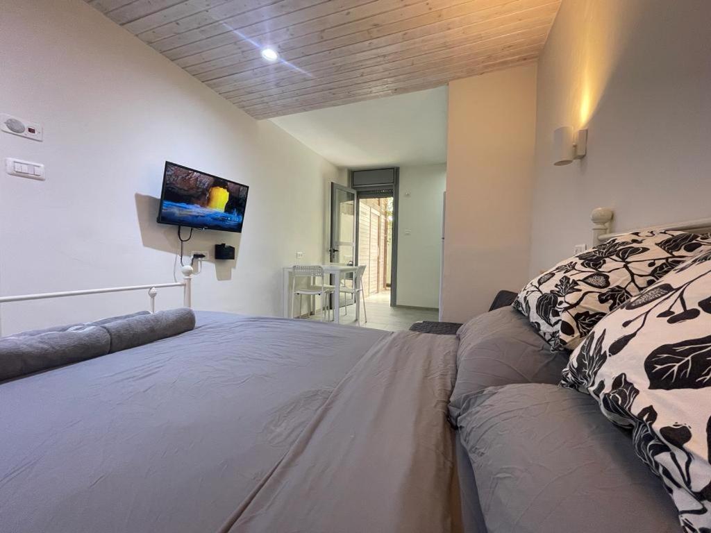 a bedroom with a large bed and a flat screen tv at PassionFruit Arad in Arad