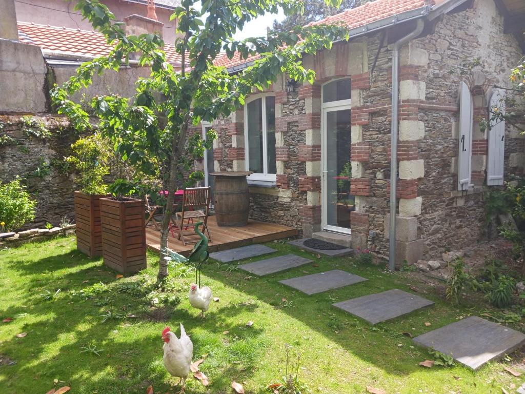 two chickens standing in the yard of a house at La laiterie de la Plume in Nantes