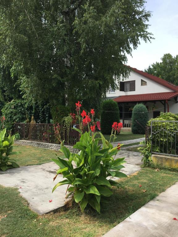Zahrada ubytování Rózsa nyaralóház
