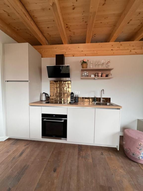 Kuchyň nebo kuchyňský kout v ubytování Chic lodge-apartments