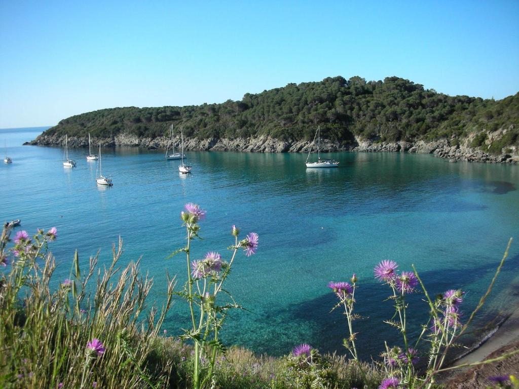 a group of boats in a body of water with flowers at Hotel Alma in Campo nell'Elba