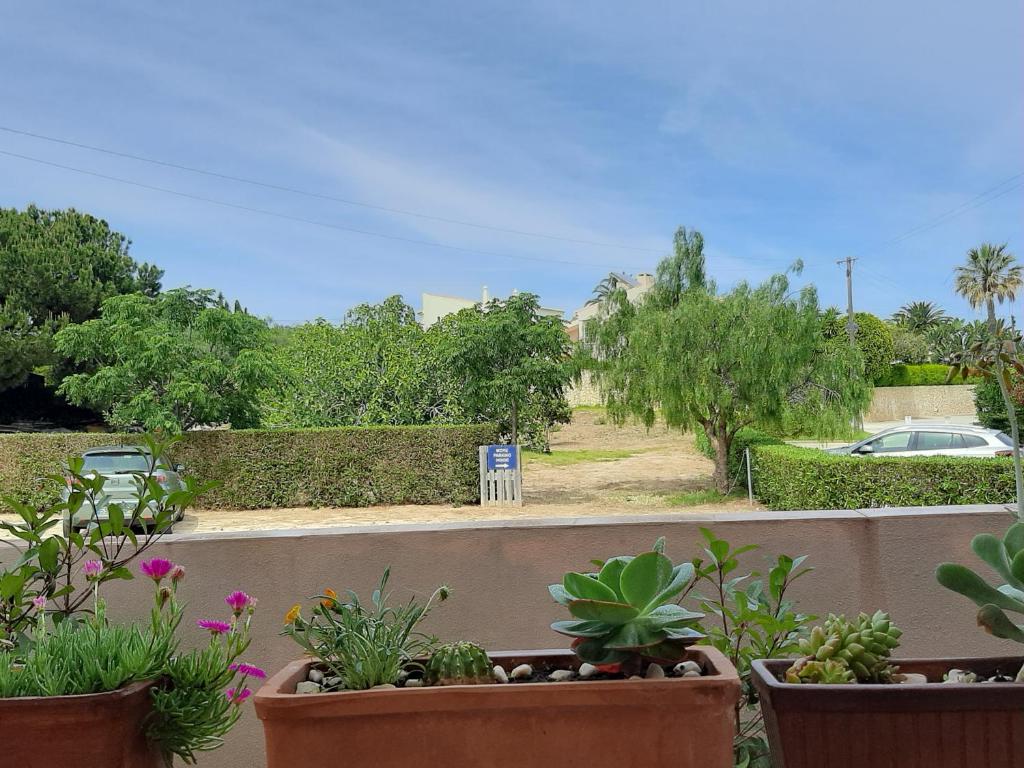a row of potted plants on a balcony at Aurora Sol in Luz