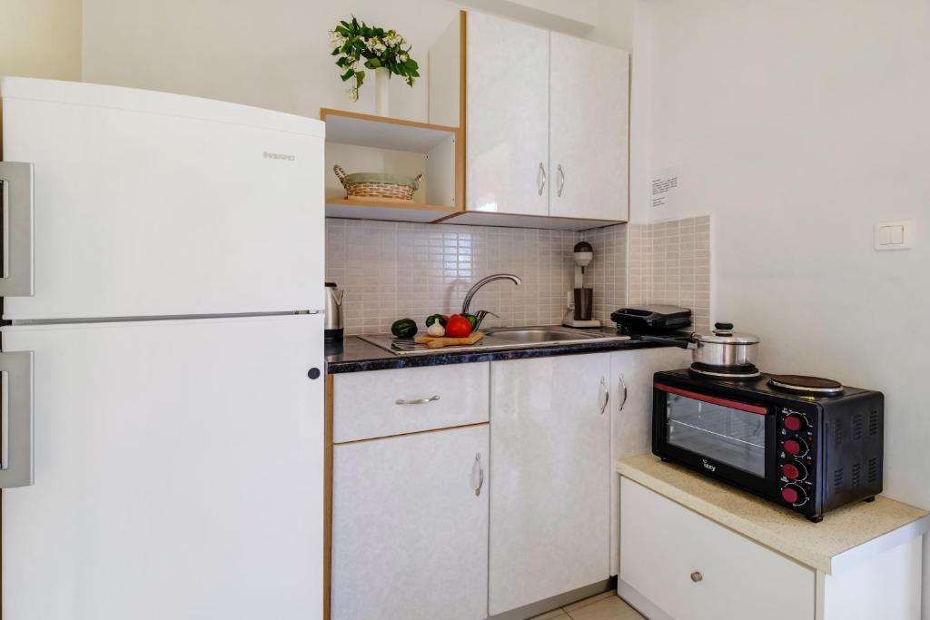 Kuchyňa alebo kuchynka v ubytovaní Apollon Apartment