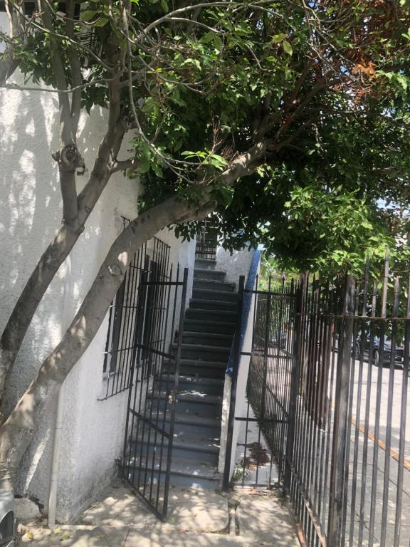 una escalera con una valla y una escalera con un árbol en Casablanca en Cancún