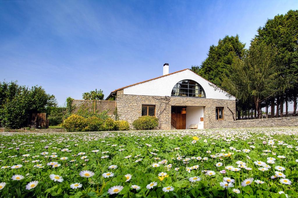 un champ de fleurs devant un bâtiment dans l'établissement LIV HOME, à Gijón