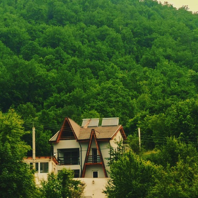 une maison avec des panneaux solaires en haut dans l'établissement Zorra Challet, à Eşelniţa