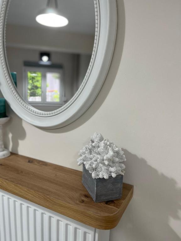 a mirror on a wall with a plant on a shelf at Studio Coral by the sea in Neoi Epivates