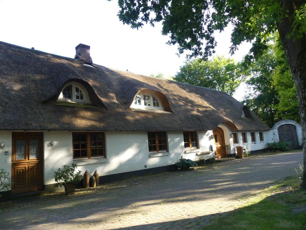 Ahrenviöl的住宿－Hallerhus，茅草屋顶的古老房屋