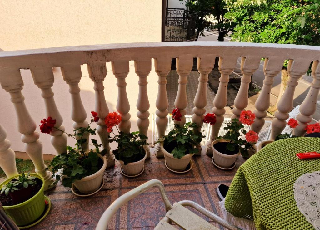 a bunch of potted plants sitting on a railing at Apartmani M br5 in Topola