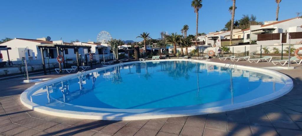 duży niebieski basen z krzesłami i palmami w obiekcie Poolside little Paradise Colorado #2 w mieście San Bartolomé