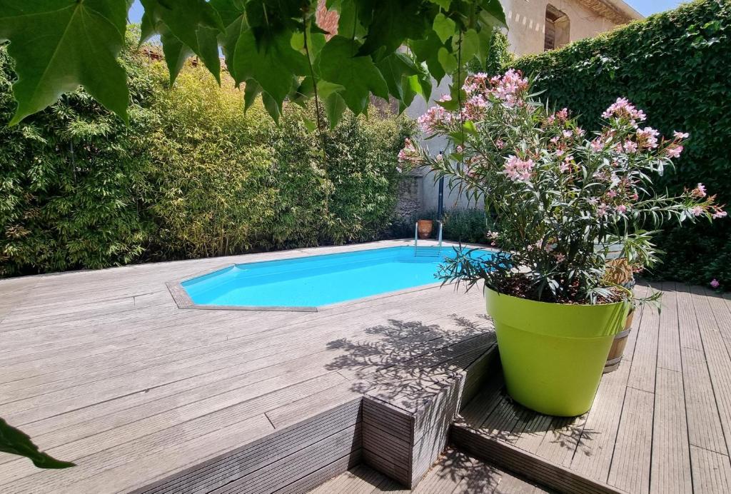 una piscina con una maceta en una terraza de madera en Maison de Vacances 8 à 15 pers à proximité du Canal du Midi, en Sallèles-dʼAude