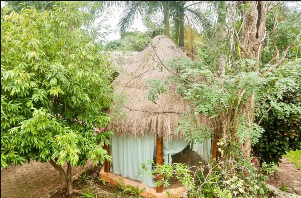 una pequeña casa con techo de paja en un bosque en OMA CANCUN - Holistic Healing Center, en Cancún