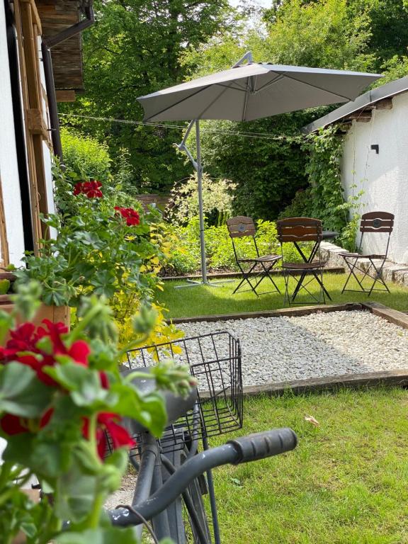 Vonkajšia záhrada v ubytovaní Apartamenty sudeckie nad zalewem III