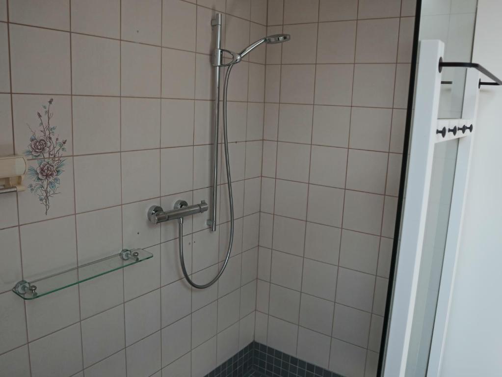 baño con ducha y puerta de cristal en Ferienwohnung am Rhein, en Koblach