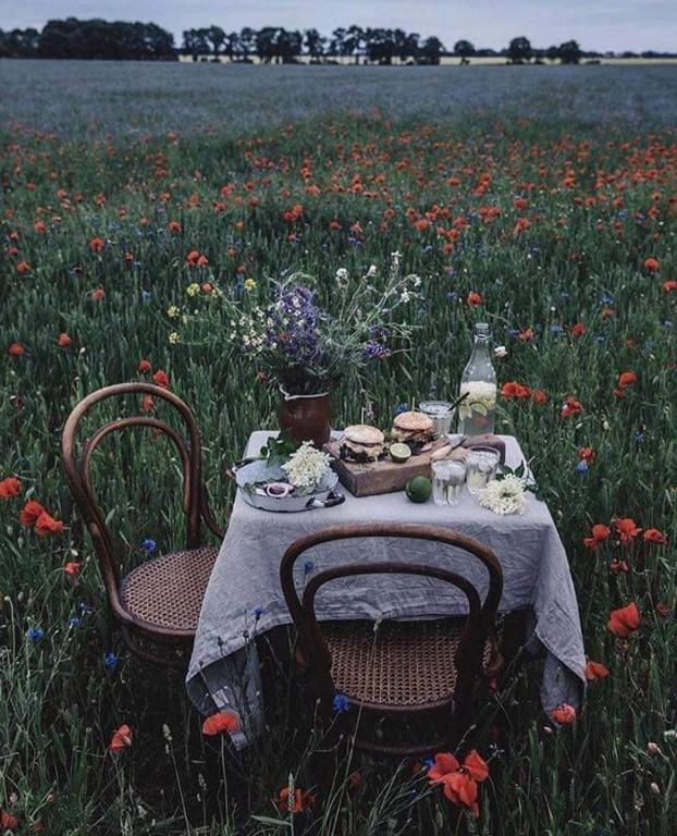 La locanda di Chicca في Vische: طاولة وكراسي في حقل من الزهور