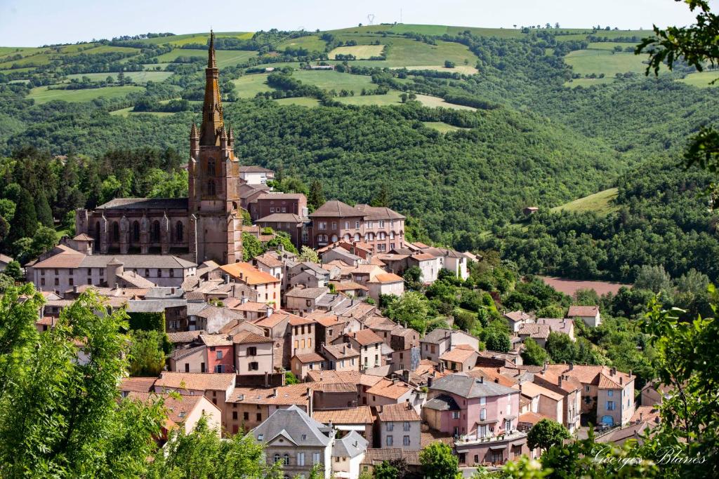 a village on a hill with a church at CAMPING VERT LAVANDE in Belmont-sur-Rance