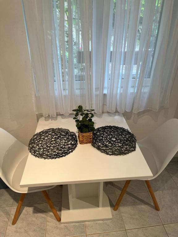 a table with two chairs with a plant on it at Apartments Despotović in Vis