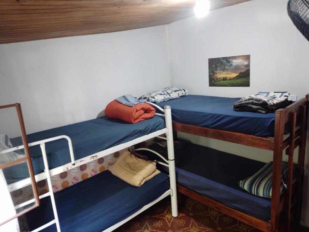 1 Schlafzimmer mit 2 Etagenbetten in einem Zimmer in der Unterkunft DCH Hostel Backpaquers in Concordia