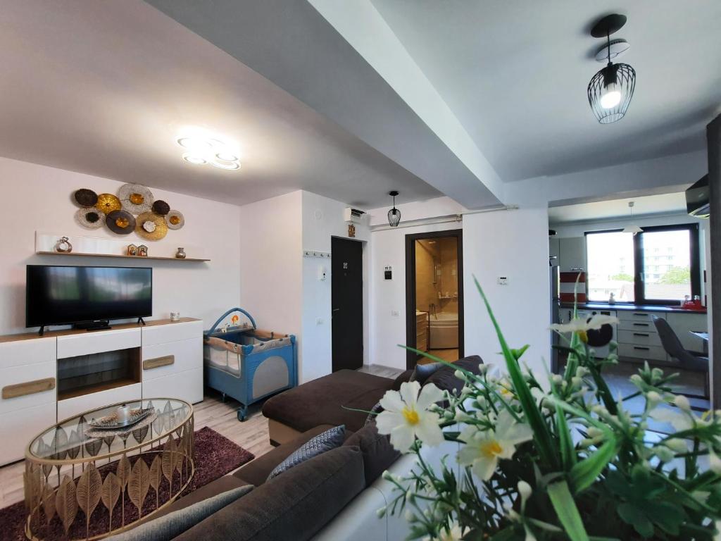 北瑪麥亞–納沃達里的住宿－Mamaia Apartament Familia & Copilul，带沙发和电视的客厅