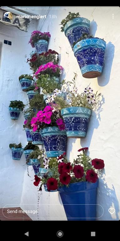 Fotografie z fotogalerie ubytování Mijas Pueblo paradise villa v Malaze