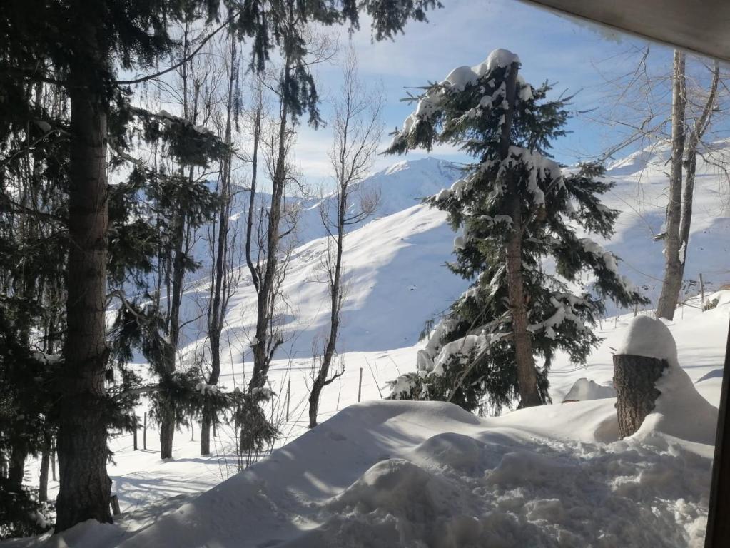 uma pilha de neve ao lado de uma árvore coberta de neve em Hostal Boutique CUMBRES em Farellones