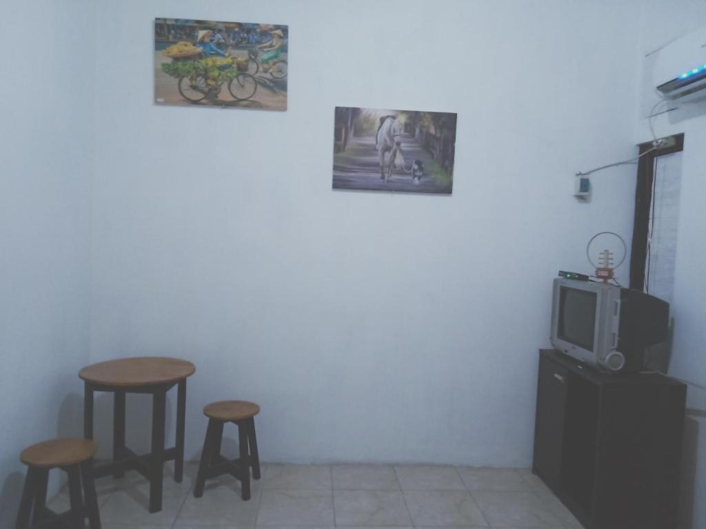 TV a/nebo společenská místnost v ubytování Kost Backpacker