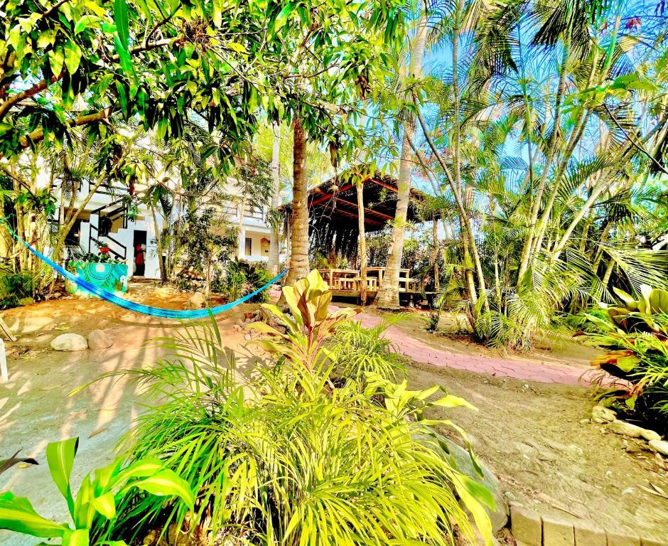 a house in the middle of a forest with trees at El Eden Escondido in Puerto Escondido