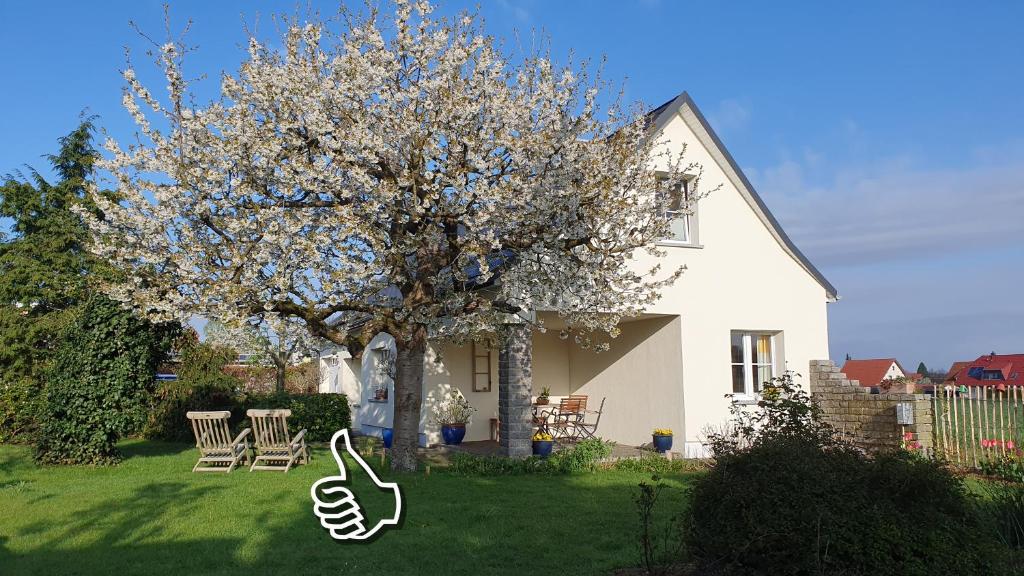 a white house with a tree in the yard at Ferienhaus Hummel-Nest in Laußnitz