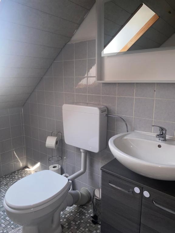 uma casa de banho com um WC branco e um lavatório. em 2- Zimmer Wohnung em Lehrte