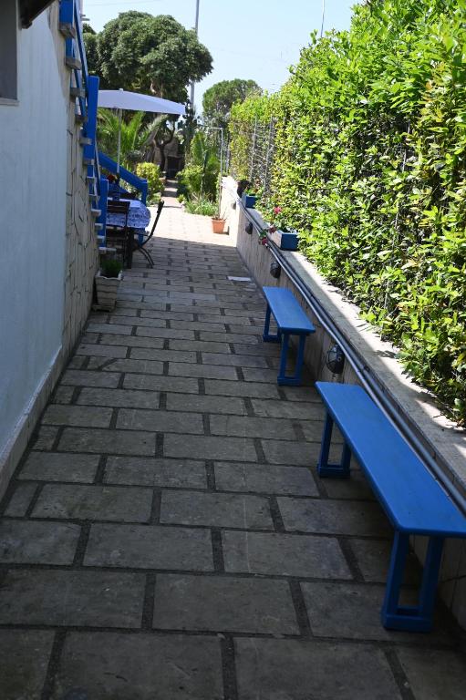 Zahrada ubytování B&B Villa Dongiovanni
