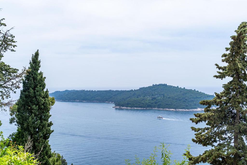 Villa Green Panorama - 10