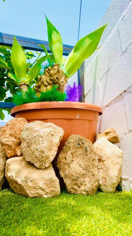 Zahrada ubytování Casa Rural Inés cerca del Caminito del Rey
