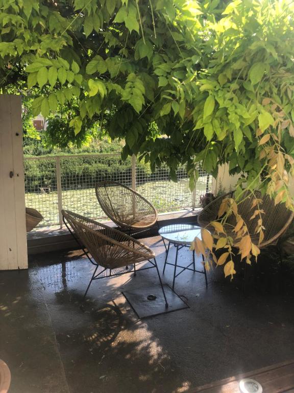 patio z 2 krzesłami i stołem pod drzewem w obiekcie Agréable petite maison située au bord du Doubs w mieście Verdun-sur-le-Doubs