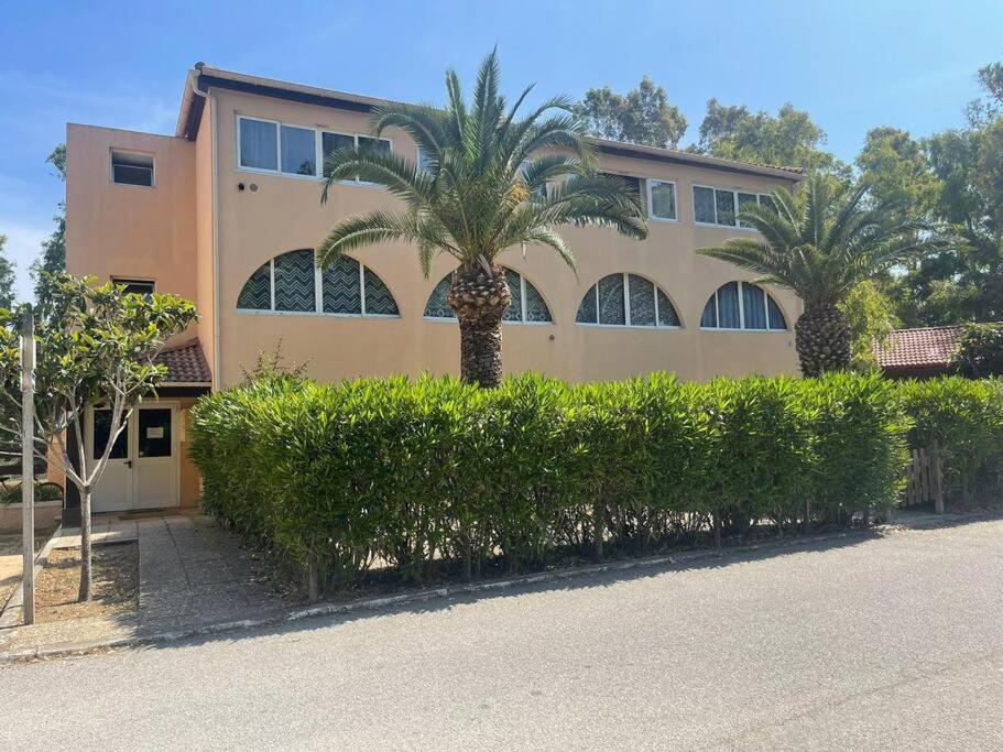 un bâtiment avec des palmiers devant dans l'établissement Magnifique studio en bord de mer, à Calvi