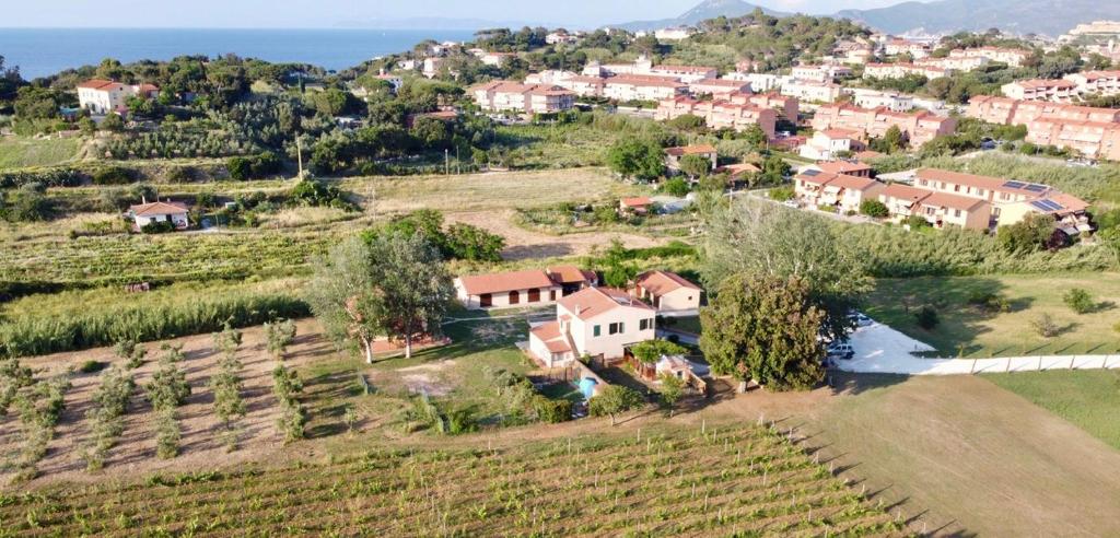 an aerial view of a house in a vineyard at Podere Il Ritorno in Portoferraio