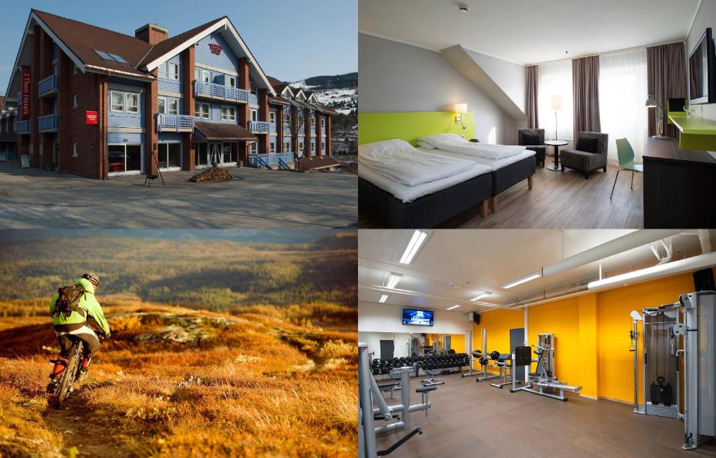 Fotografie z fotogalerie ubytování Thon Hotel Hallingdal v destinaci Al