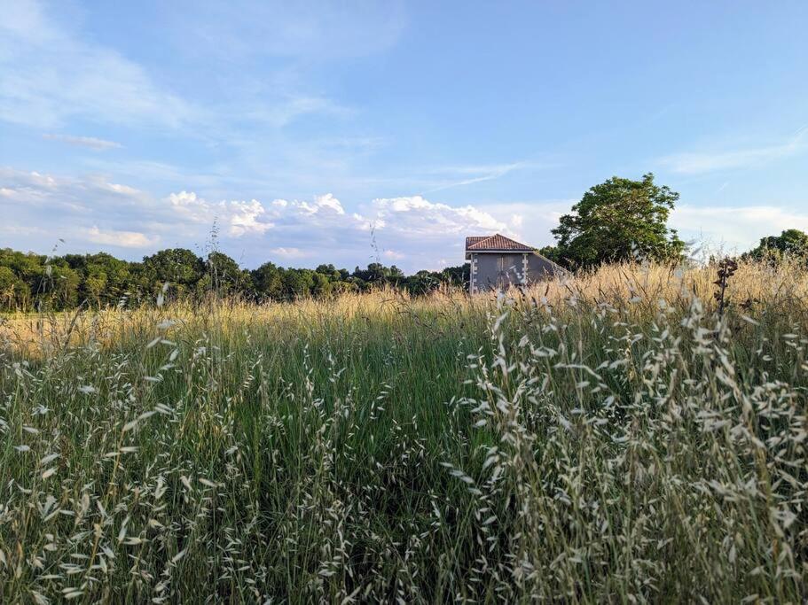 un champ d'herbe haute avec un bâtiment en arrière-plan dans l'établissement Maison de campagne Mon repos, à Courpignac