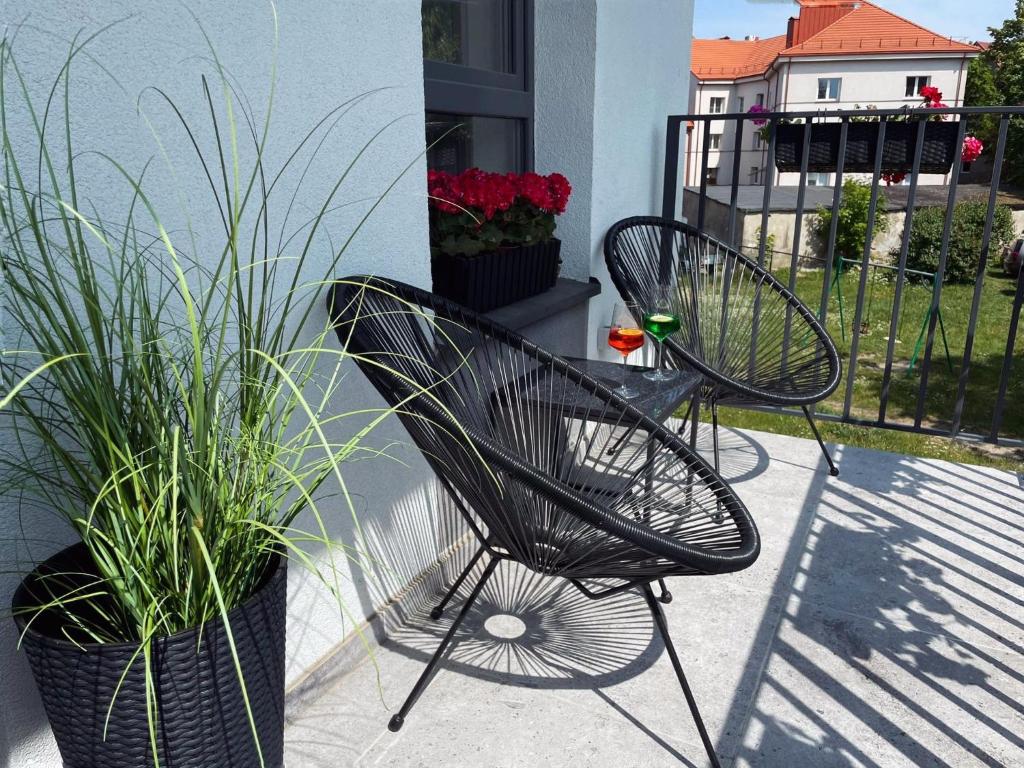 two black chairs and potted plants on a balcony at Cozy family apartment near the old town in Klaipėda