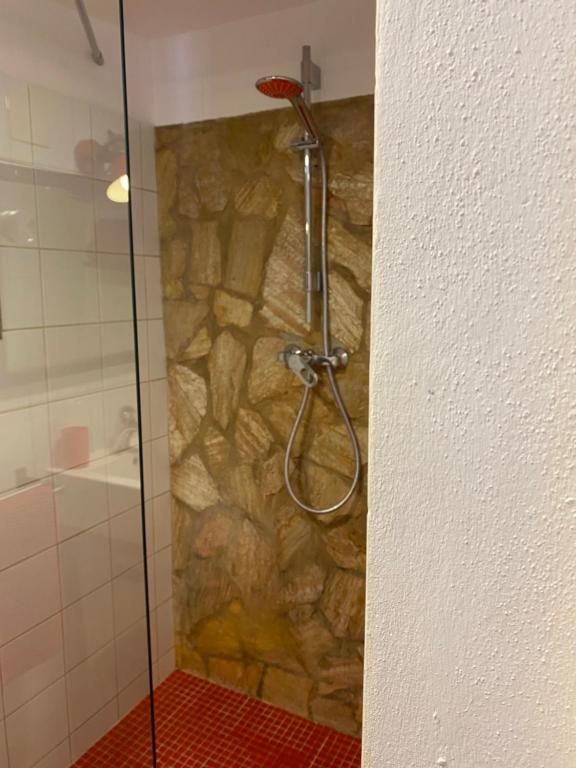 La salle de bains est pourvue d'une douche et d'un mur en pierre. dans l'établissement B&B Finca Alegria de la Vida, à Pizarra
