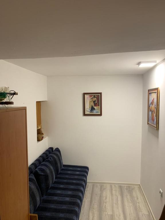 salon z niebieską kanapą przy białej ścianie w obiekcie Vikendica Banja w mieście Valjevo