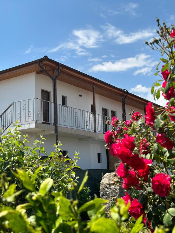 a white building with a balcony and red roses at Vila Bloom in Vama Veche